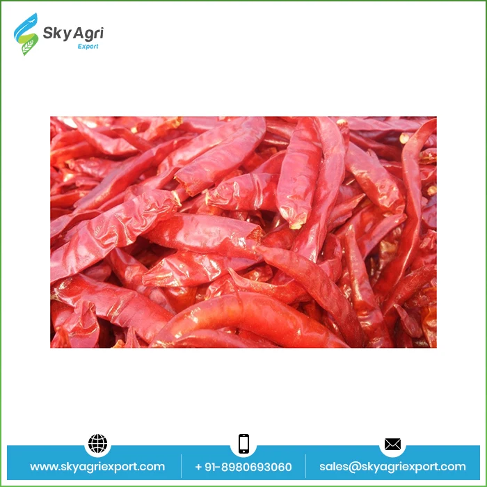 Supplier Of Indian Dry Red Chili Paper Powder Spices Plastic Bag Paper Red Chilli Pepper