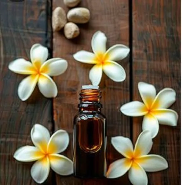 Натуральный набор эфирных масел Frangipani 100% 10 мл ароматических семян корицы гвоздики COA Сертифицированный экспортер по оптовой цене