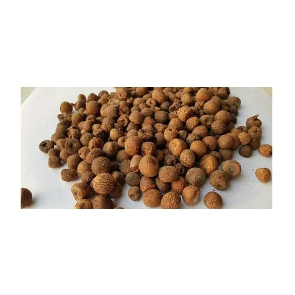 Сушеные тайские орехи Betel Орехи из Таиланда светло-коричневые