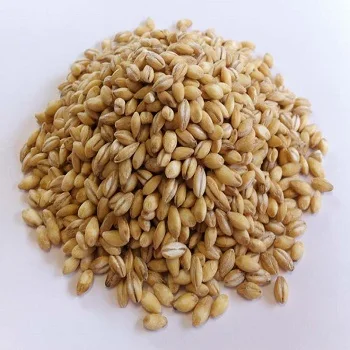 Натуральный Необработанный ячменный солод корм для животных немецкий урожай