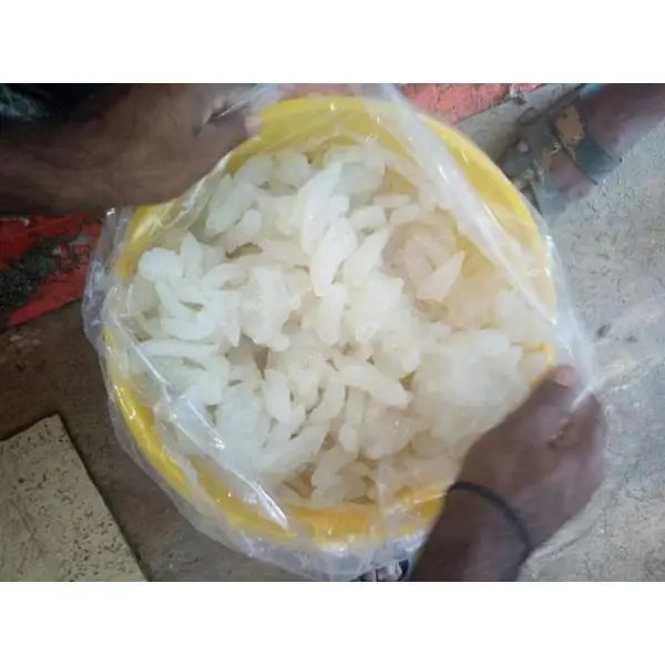 Bulk Stock New Jellyfish For Supply