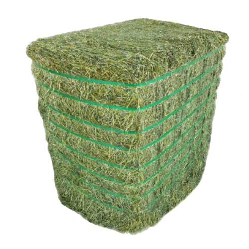 Quality Animal Feed Alfafa Hay for Animal Feeding Stuff Alfalfa