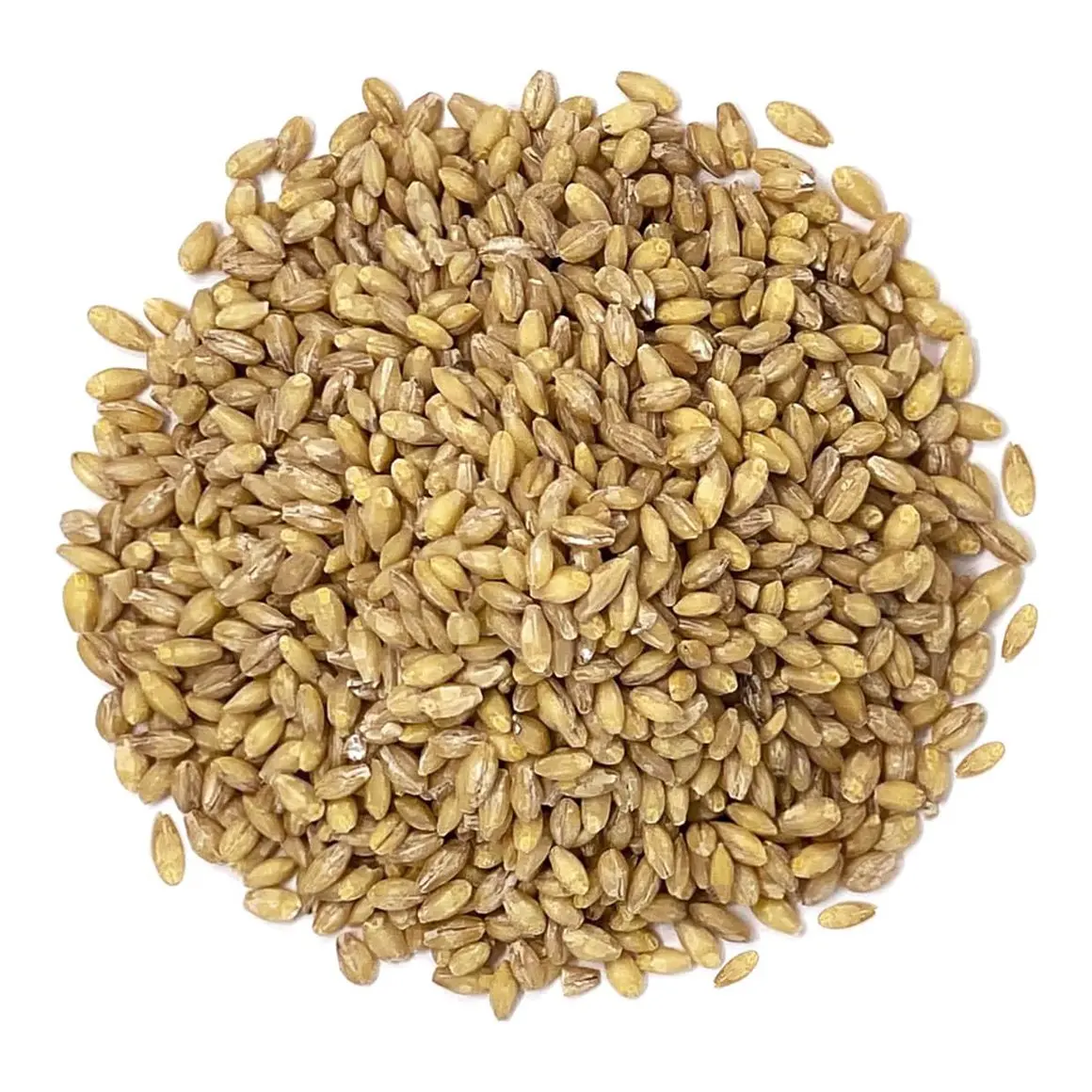 Fastest delivery high quality Barley grain hulled wholesale malted barley malt where to buy barley for very cheap price