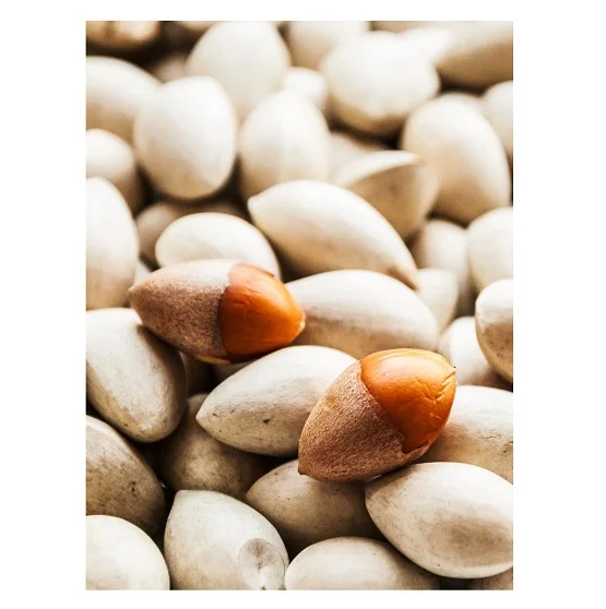 Peeled Dried Ginkgo Nuts For Sale - Buy Dried Ginkgo Nuts Peeled Dried Ginkgo For Sale Product