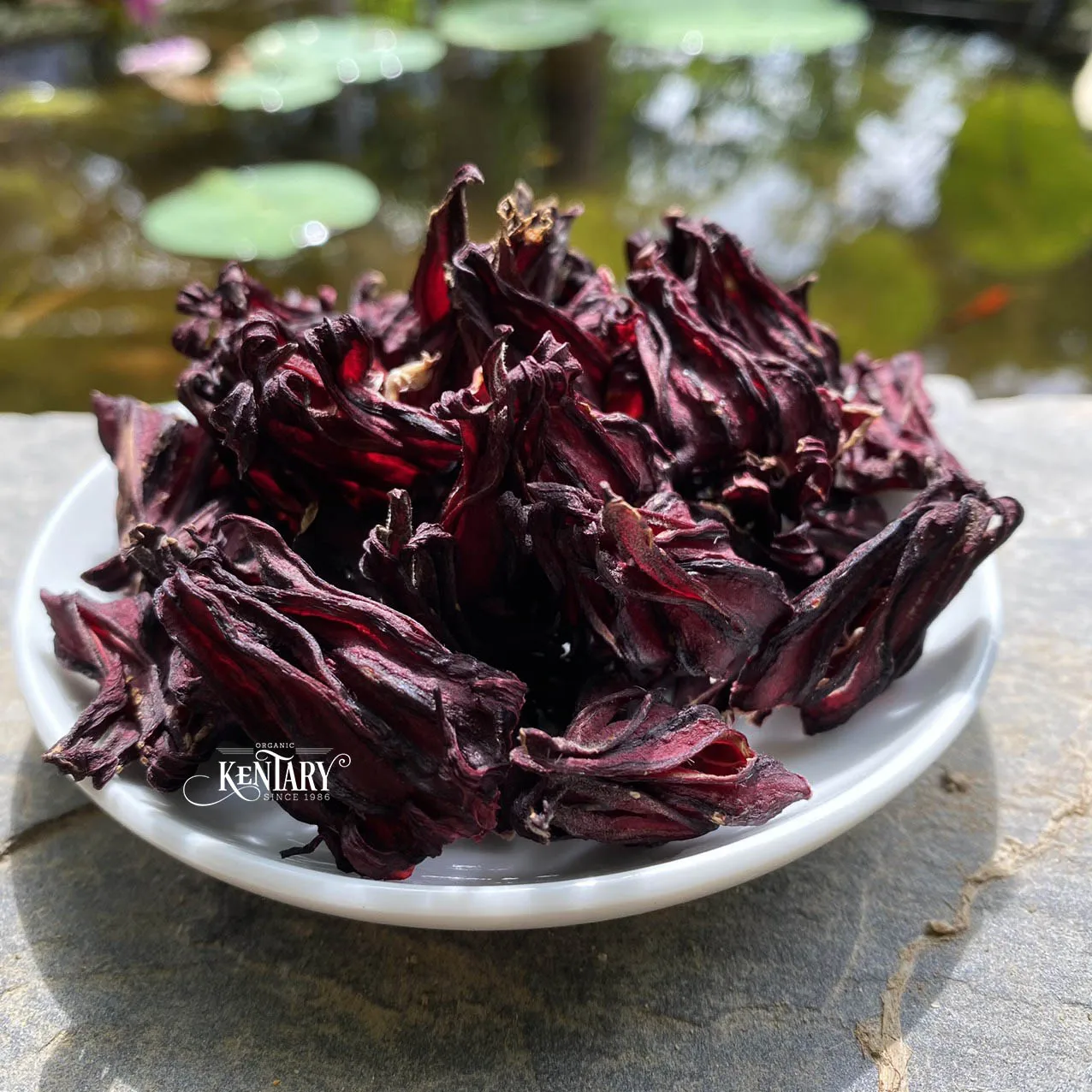 Не ГМО сушеные цветы гибискуса травы без химикатов для вкусного кислого чая Лучшая цена во Вьетнаме способствует здоровью