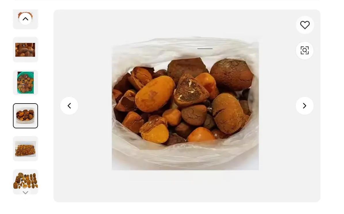 Quality dried Cow Ox Gallstones | Cattle Gallstones| Cow Gallstones and Bezoar
