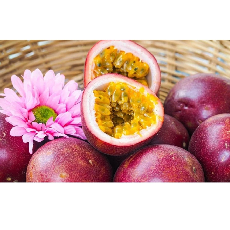 Premium Quality Imported Grade fresh passion fruit for consuming temperature measuring quality selecting