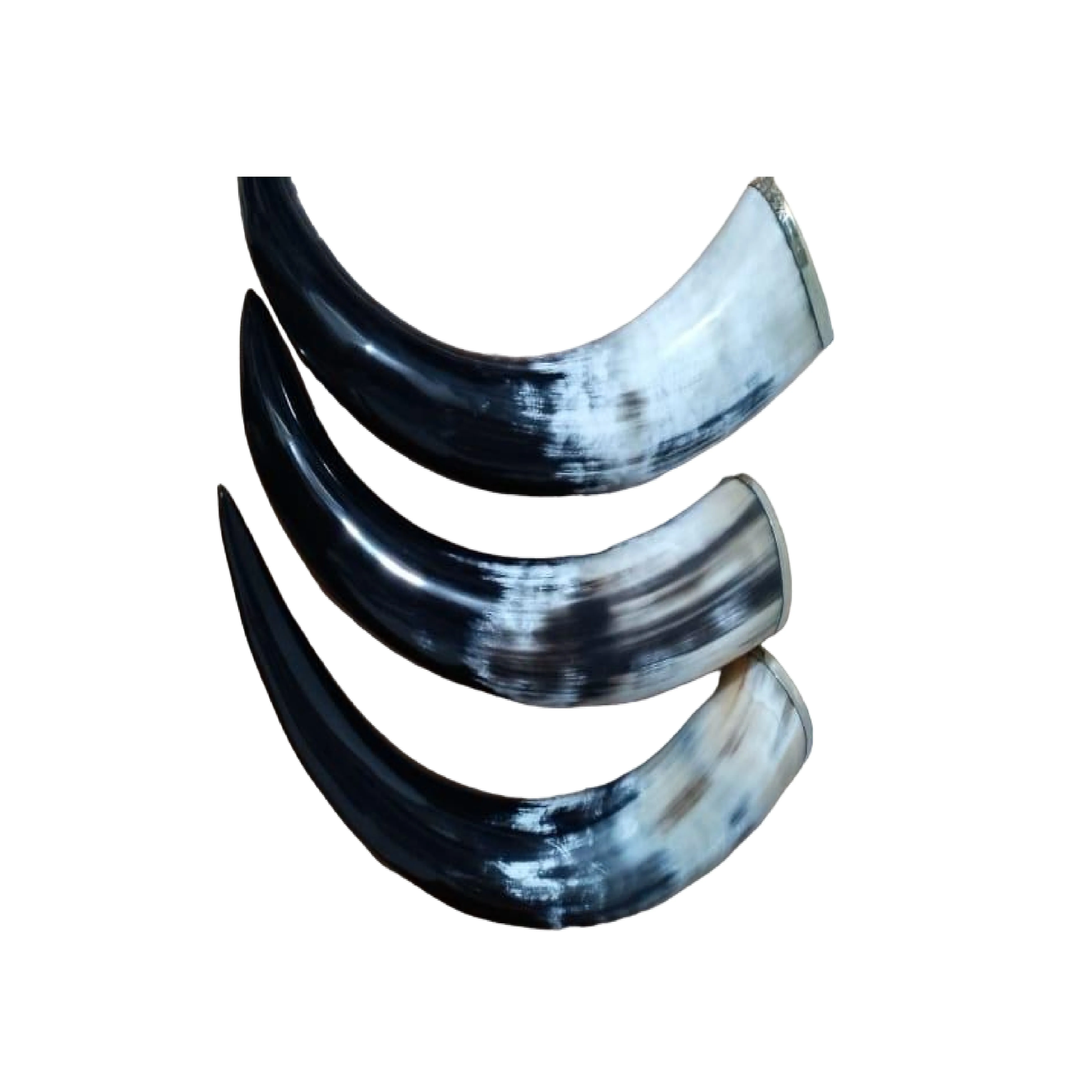 Top Quality Buffalo Horn Low Prices Hand Blown Professional Supply Personalized Horn Shape Beer Glass Wholesale Form India