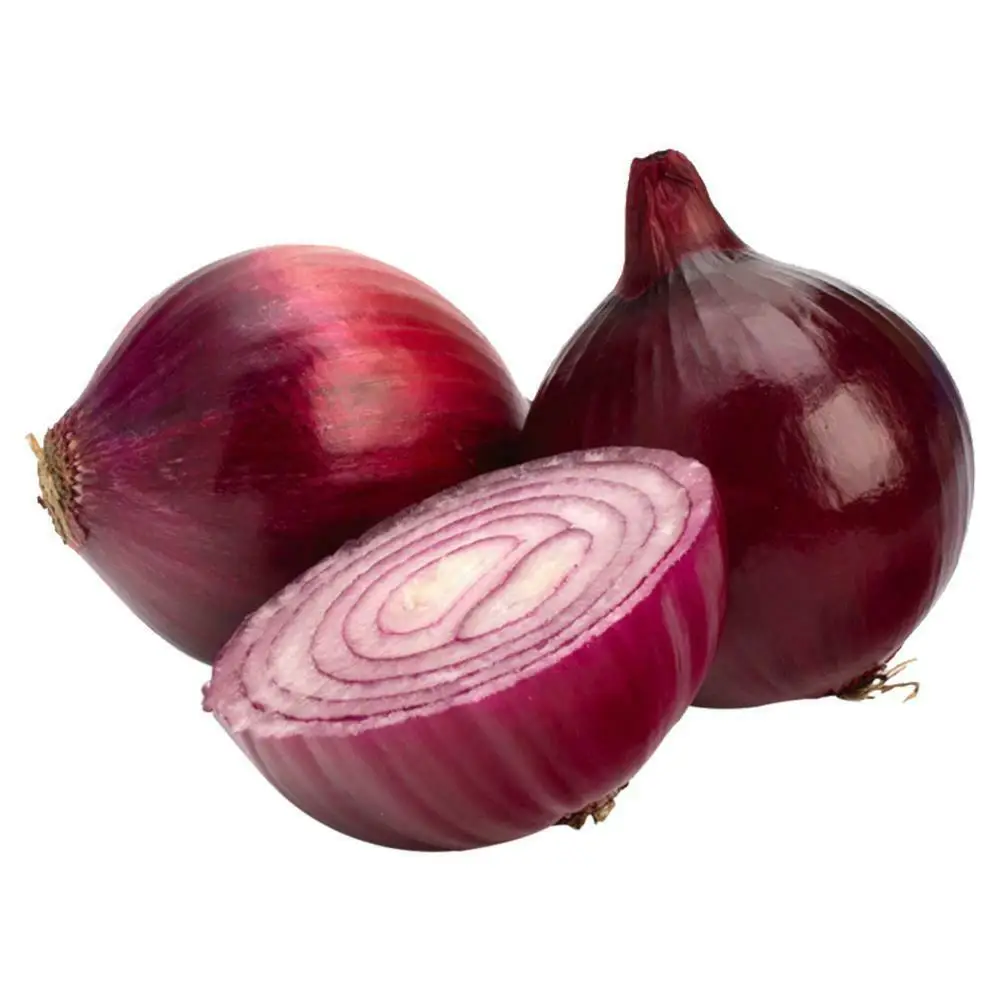 High Quality Product from South Africa - Fresh Onions Healthy New Natural and Organic Vegetables
