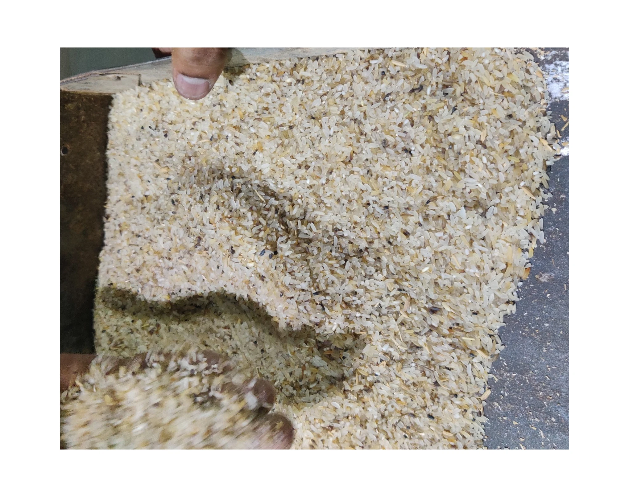 Оптовая продажа от производителя и поставщика из тайского риса отрубей корм для животных высокое качество низкая цена