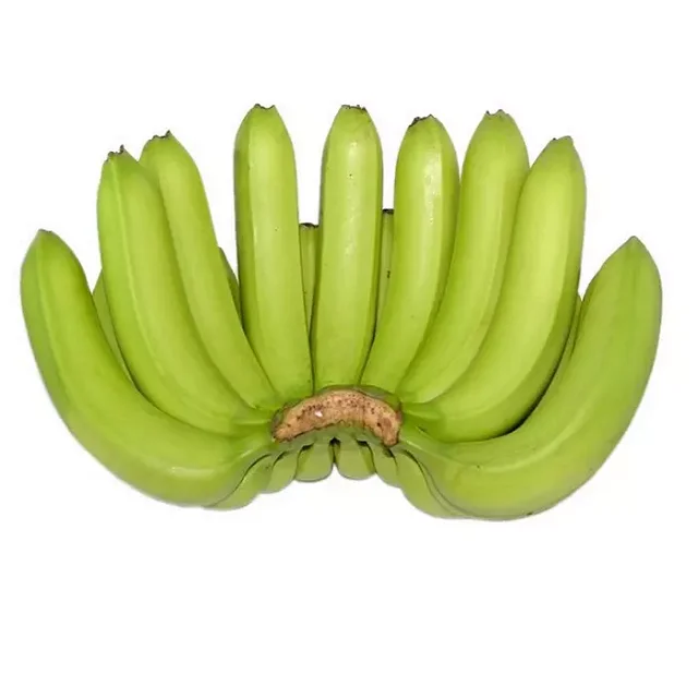 100% Organic Fresh Cavendish Banana Green Plantain Variety Wholesale for Worldwide Export