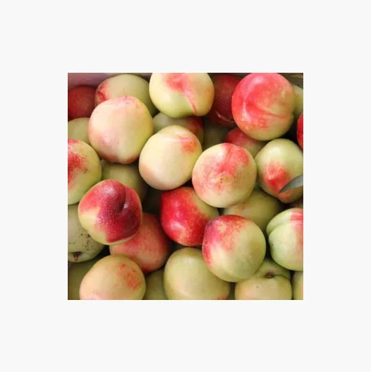 Свежие персики и нектарины