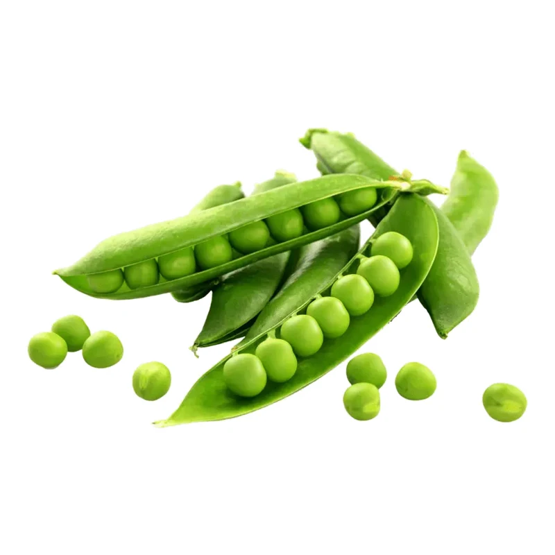 Best Trade Fresh Food Grade Certified Newly Cultivated Fresh Green Peas Harvested From Bangladeshi Suppliers Best Premium Peas