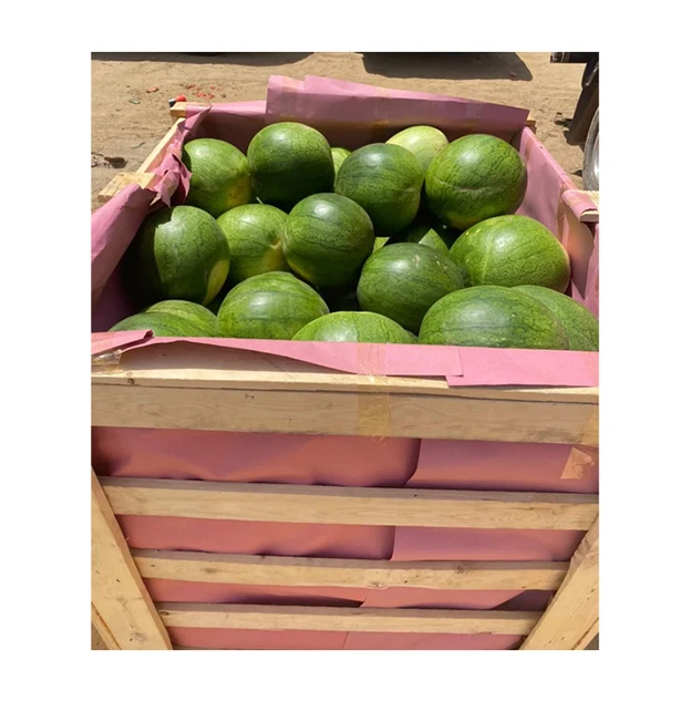 Competitive Price Best Selling Egypt Origin Export 100% Natural Delicious Original Taste Seeds/ Seedless Watermelon for Sale