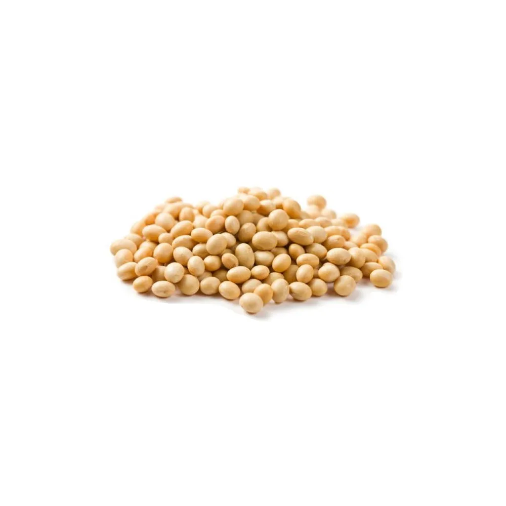 SOYBEANS DIRECT SUPPLIER / GMO & NON GMO SOYABEAN