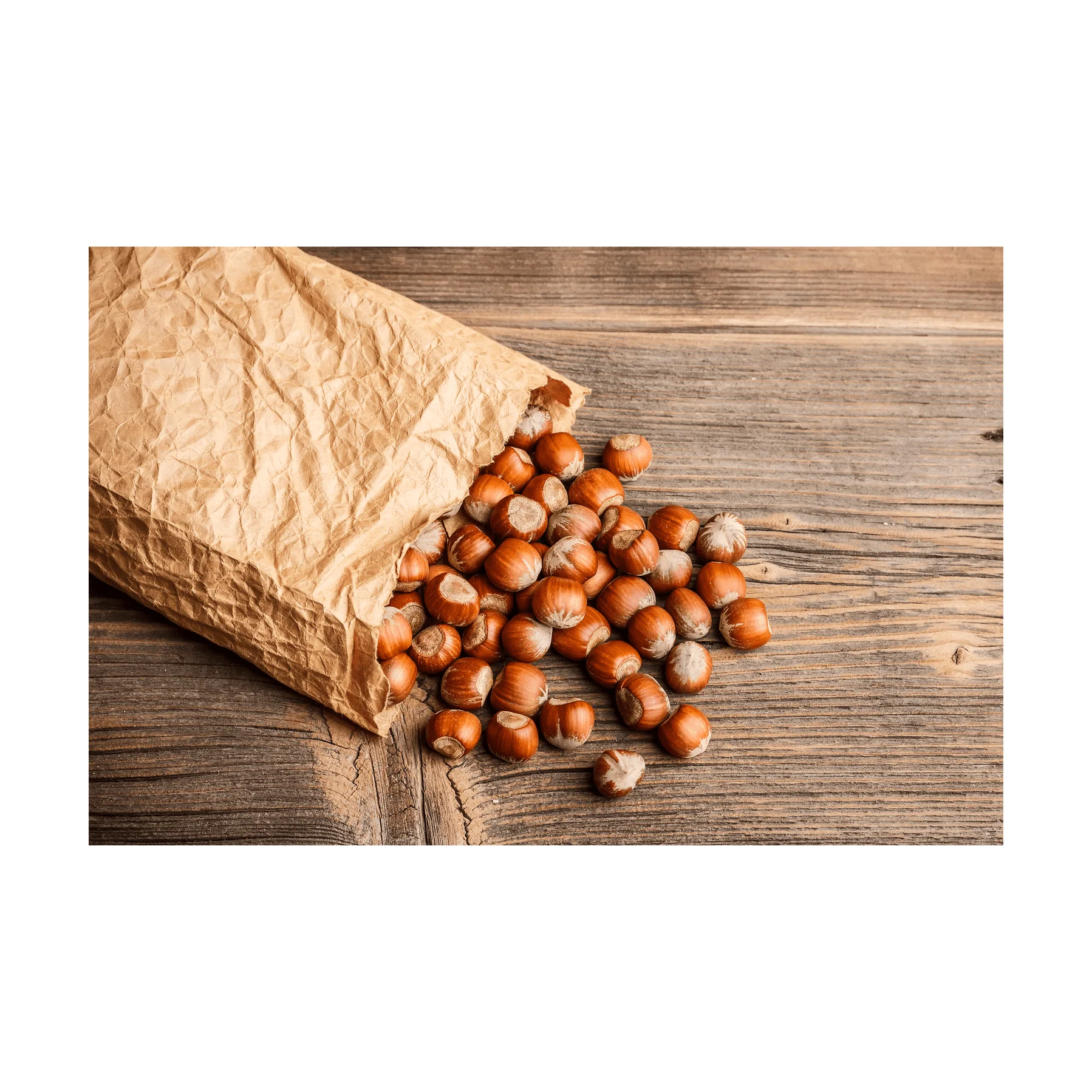 Cheap Price Wholesale Hazelnuts For Sale In bulk