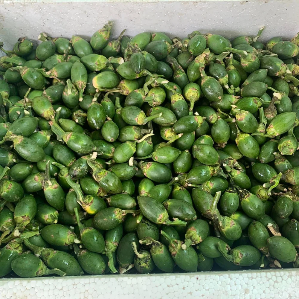 100%, натуральный замороженный орех бетеля