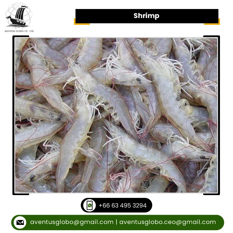 New Arrival Highest Quality Highly Nutritious BQF Freezing Process Seafood Frozen Shrimp Fish for Sale
