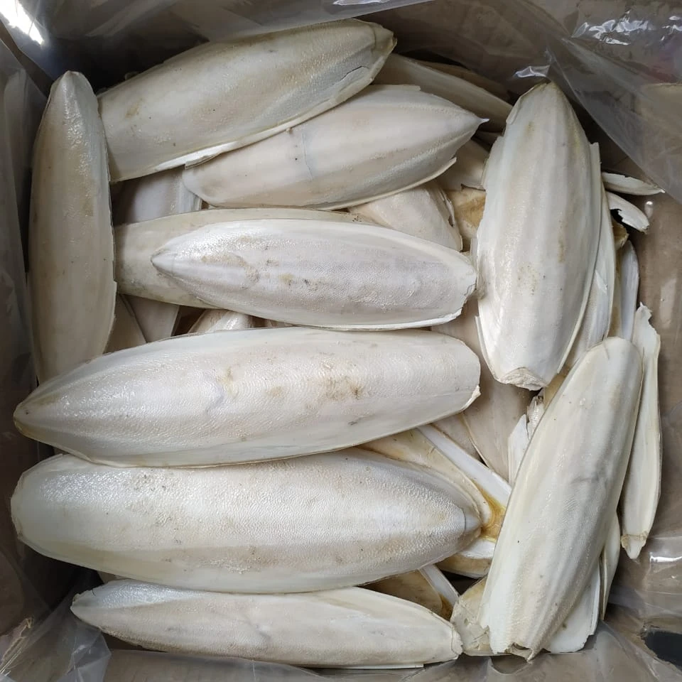 Manufacturer Cuttlebone  And Dried Cuttlefish Bone For Making Chitosan In Vietnam