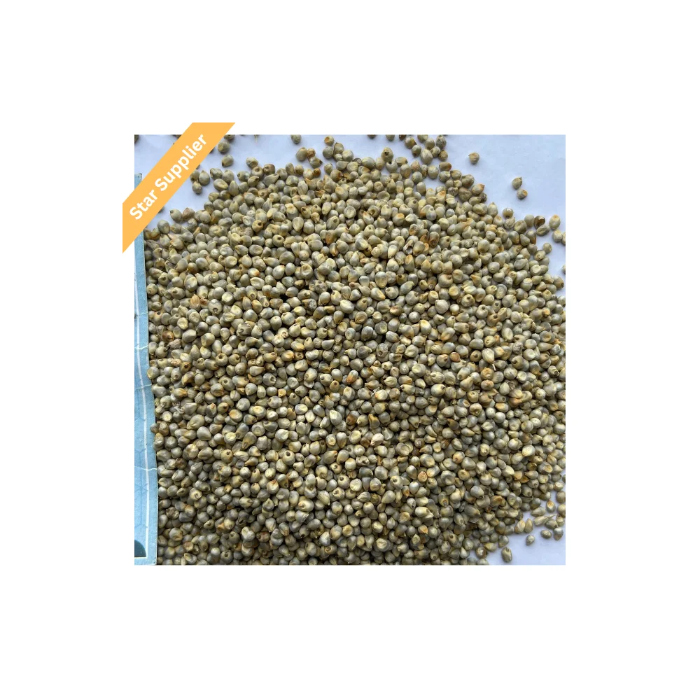 Bird Feed Yellow Broom Corn Millet peas for Bird Food