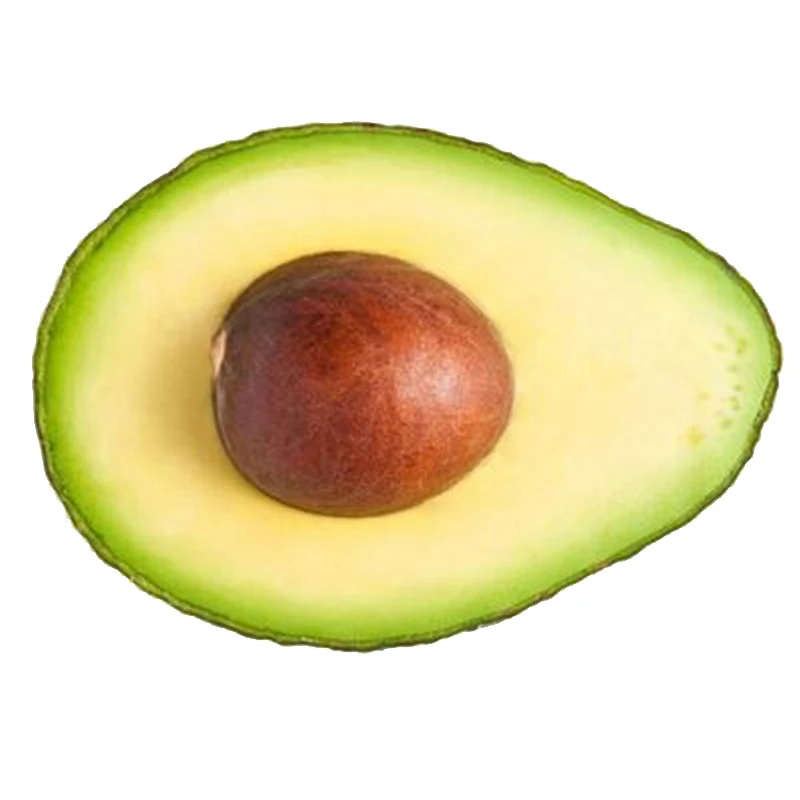 Affordable Fresh Avocado Pure and Natural For Wholesales