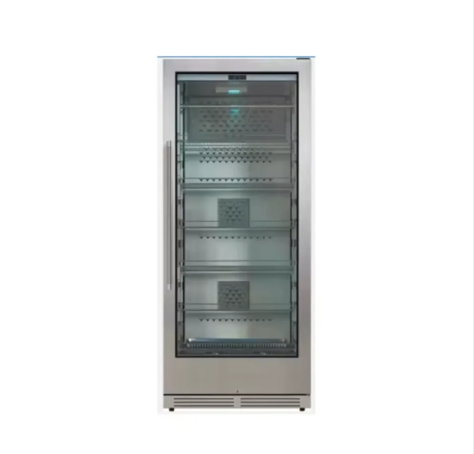 Commercial Restaurant Beef Steak Dry Aging Refrigerator Dry Aged Meat Display Cabinet for Meat Freezing Kitchen Machines