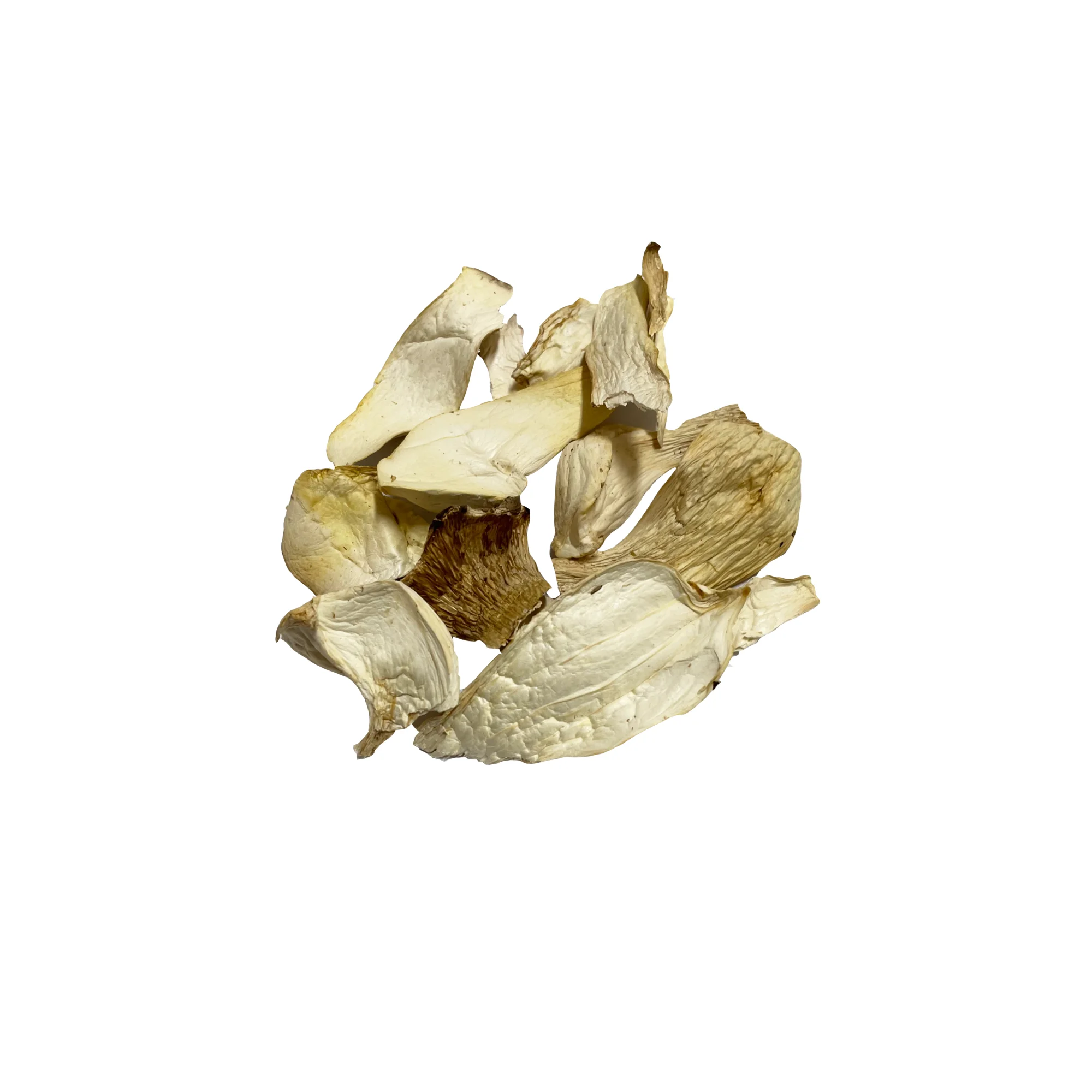 Health cuisine cooking used dry king oyster mushroom