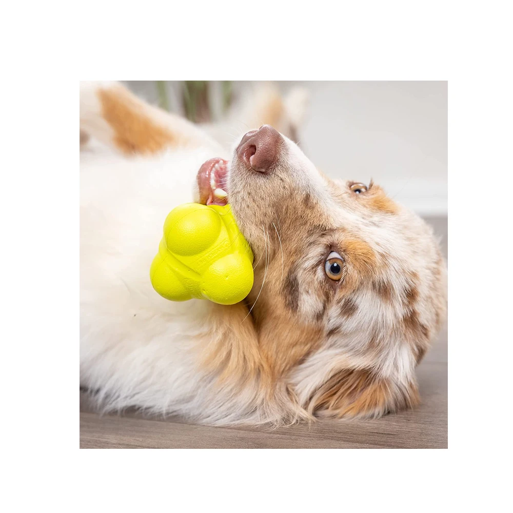 New Super Quality Agility Training Reaction Rubber Ball Available At Good Price