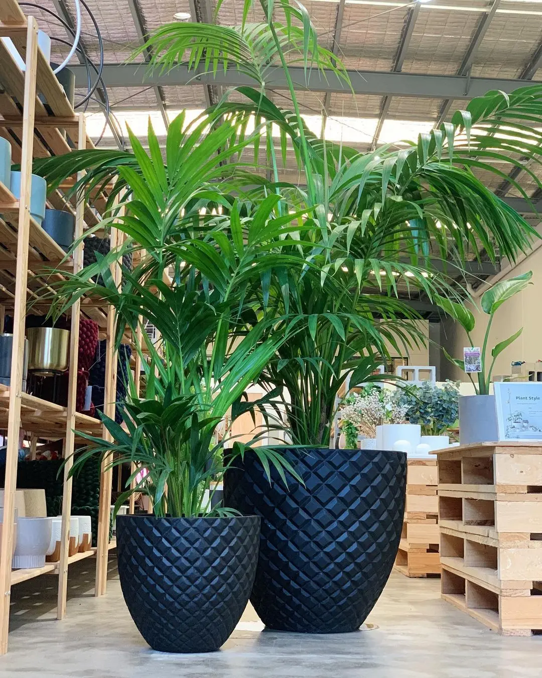 Vietnamese GARDEN POTS & PLANTERS Supplier Round Wide Modern Garden Planter Pot Smart Choice Flower Pots & Planters for Home OEM