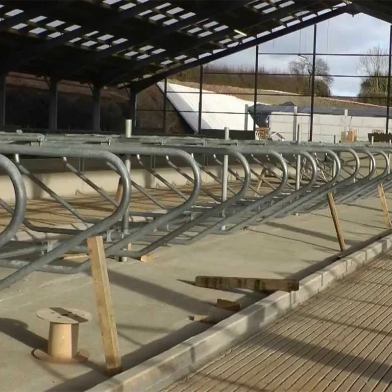 steel cow barn cowshed cattle slaughter house steel arch livestock house