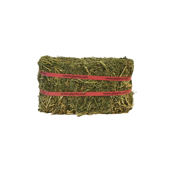 Purchase Quality Alfalfa Hay