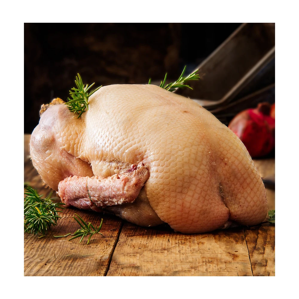 Poland Manufacturer Frozen Halal Goose fat Buy At Bulk Price