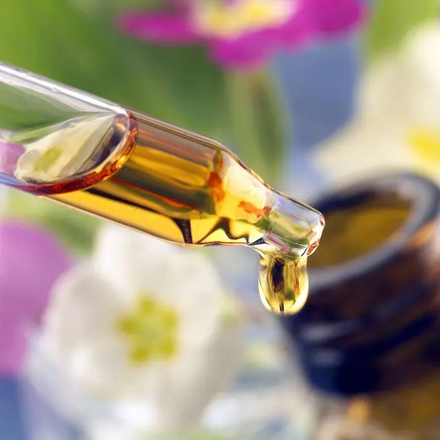 Hot selling best quality Essential Oil ISO Certified Geranium oil for skin hair care from manufactures at low price