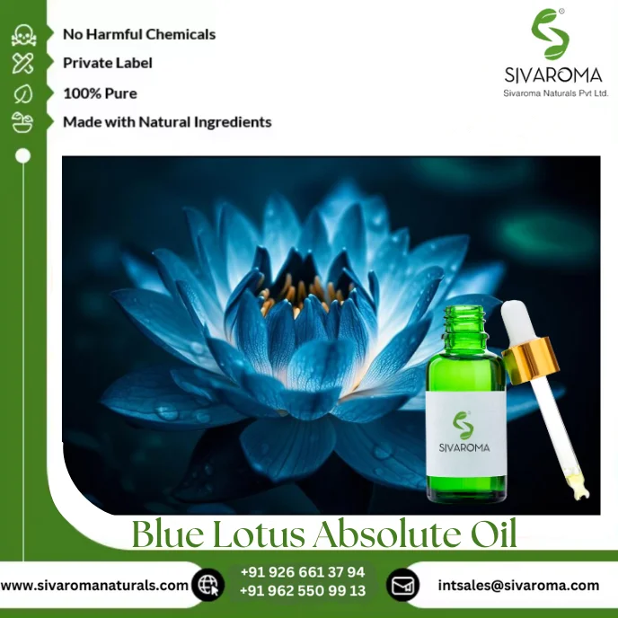 Elevate Your Product Line with Premium Blue Lotus Absolute Oil for Aromatherapy and Perfumery Needs