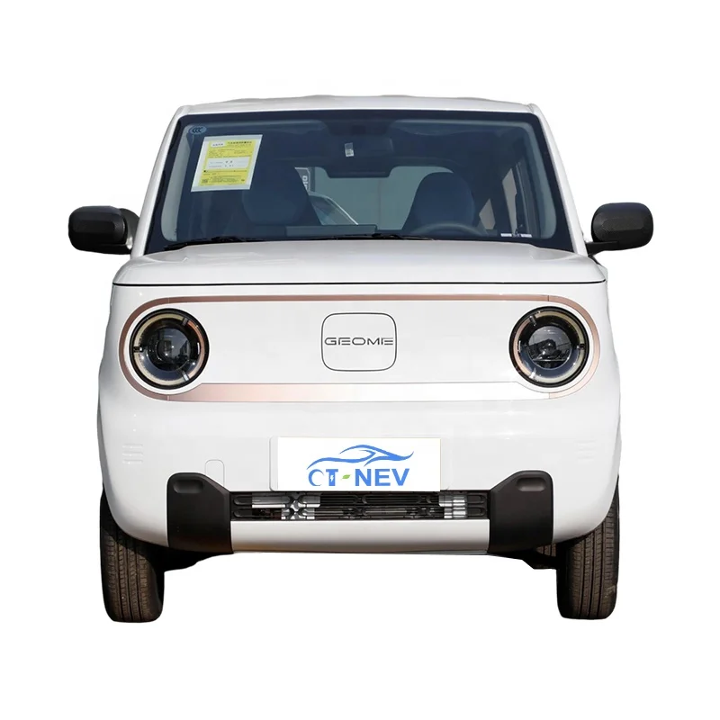 CT-NEV New Arrival Cheap Price Mini EV Geely Panda Mini Pure Electric Car for Adult 200km Range 4-seats Mini Used Car