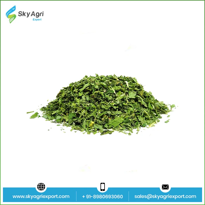 High Quality Pure 100% Coriander Leaves wholesale Spices Herbs Dry Coriander Leaves At  Bulk Price