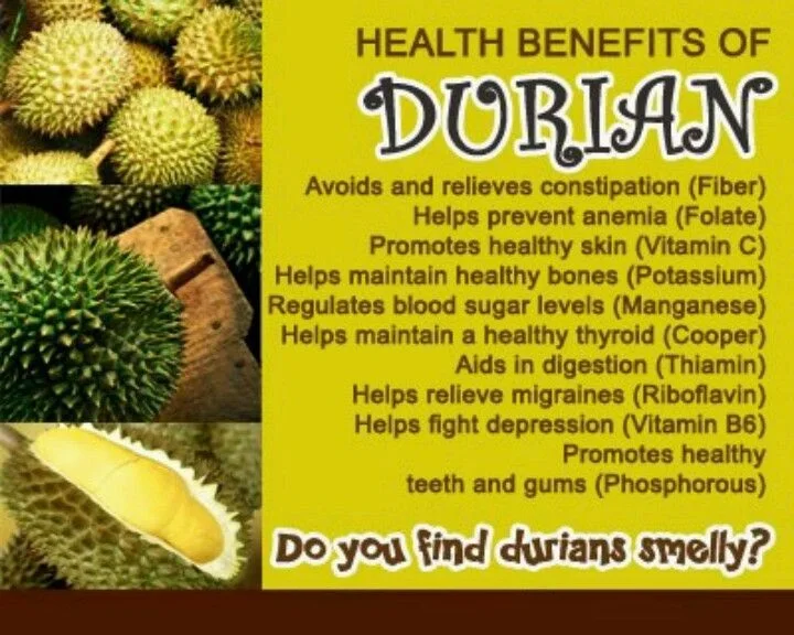 High Quality Fresh Durian For Export  Vietnam Fresh Durian Fruit Origin Type High Grade Good Price Best Taste Durians