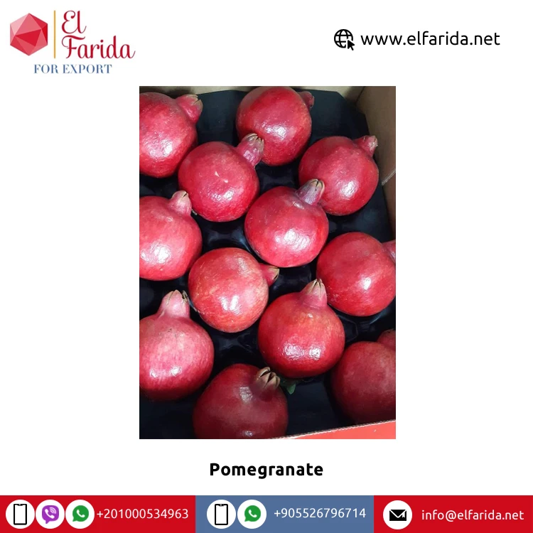 Best Quality Wholesale 100% Natural Sweet Delicious Egypt Origin Fruits Red Fresh Pomegranate at Competitive Price