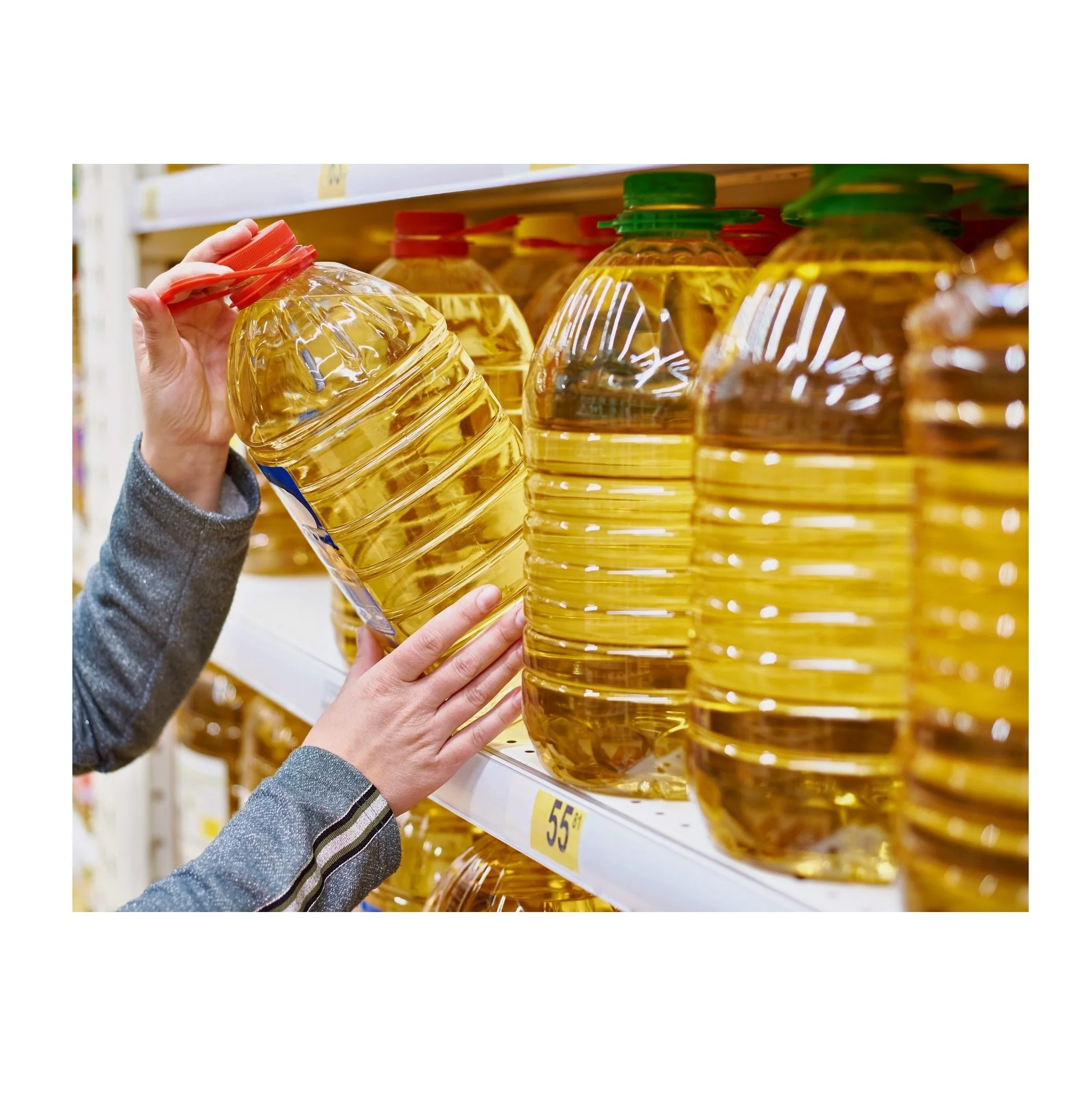 Wholesale Price Good Quality 100% Pure Refined Rapeseed Vegetable Oil
