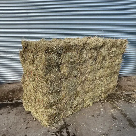 Buy Top Quality Alfafa Hay for Animal Feeding Stuff Alfalfa / Timothy / Alfalfa Hay for Sale