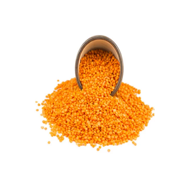 TOP QUALITY LENTIL BEANS FOR WHOLESALE PRICE FOR SALE