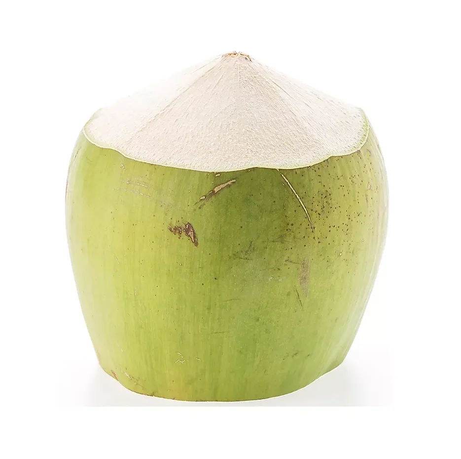 Ready to Ship Tropical Fruits Young Coconut Top quality  Full-Husked Diamond Cut Green Fresh Coconut   from Thailand