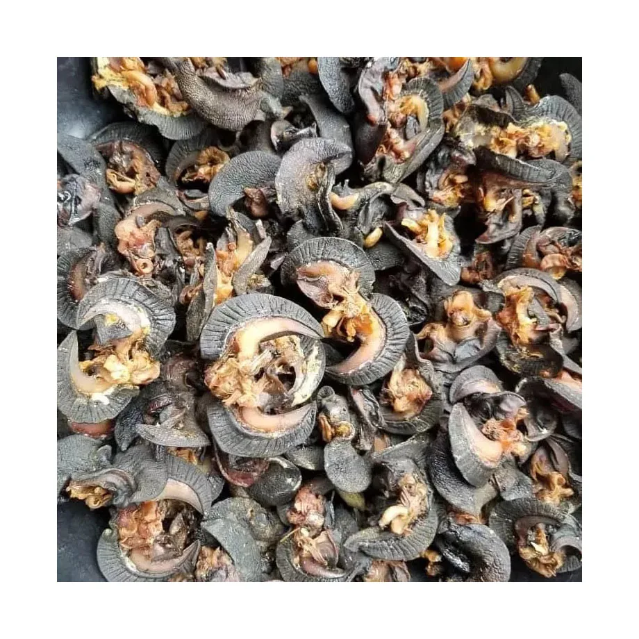 Dried Giant African Land Snails for sale High Quality Edible Dried Snails