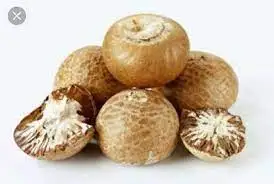Good Quality Wholesale Betel Nuts