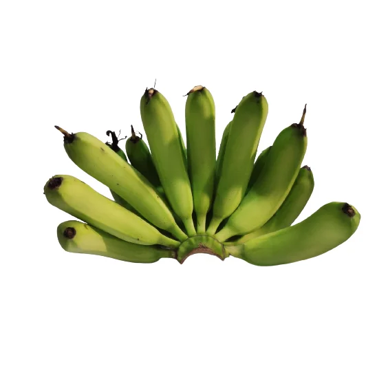 Best Sale 100% Natural High Nutrition Customize OEM ODM Service Healthy Fresh Fruit Top Grade A789 Cavendish Banana