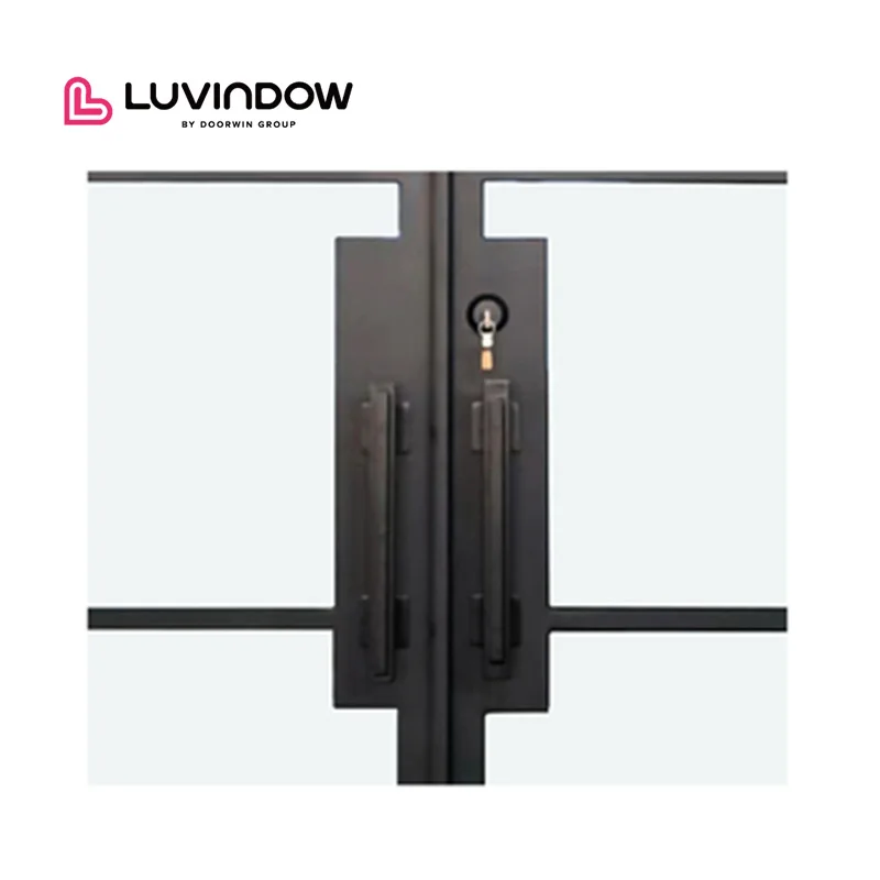 Popular Hot Selling Main Entrance Double Door High Security Wind Proof French Style Arches Exterior Iron Glass Doors