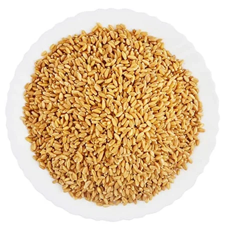 Cheap Price Wheat grain seed White Soft and Hard Wheat Grains for Sale