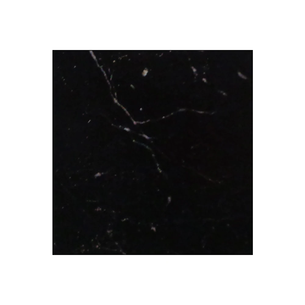Latest Arrival Black Granite Slab in Modern Design Polished Surface Reasonable Price for Outdoor Floor Tiles