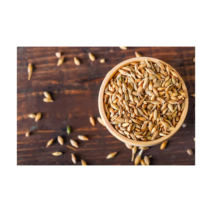 Quality Barley Groats Natural Non-GMO- Shelled Pearl Barley and Peeled Hulled Barley Grains 25kg bags