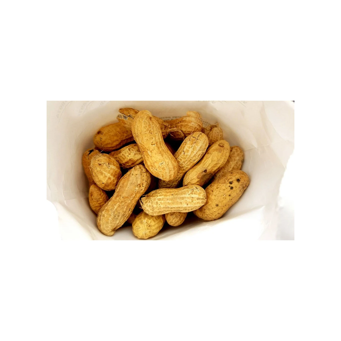 Best Price Dried Raw Peanuts / Peanuts in-shell Bulk Stock Available With Customized Packing High Quality Dried Raw Peanuts